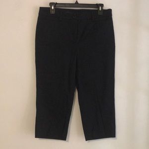 2/$30 or 3/$40 NWOT Talbots Perfect Skimmer Navy8P